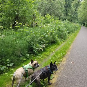 Fundraising Page: Kelsey Duggar